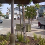 Photo #31