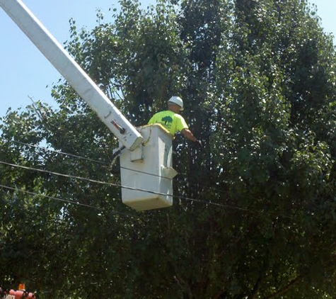 Thompson Tree Service