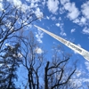 NP Moyer Tree Service Inc gallery