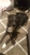 Classic Clips - Dog & Cat Clipping & Grooming
