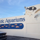 Exotic Aquariums