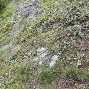 Gallery Image Number 6