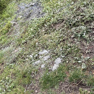 Louis Fencing Service - Rosetta, TAS