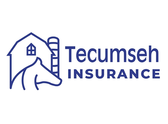 Tecumseh Insurance Agency - Tecumseh, MI