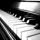 Piano Tuning by Jon Lee - Pianos & Organ-Tuning, Repair & Restoration