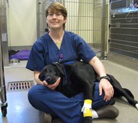 Triangle Veterinary Referral Hospital - Durham, NC