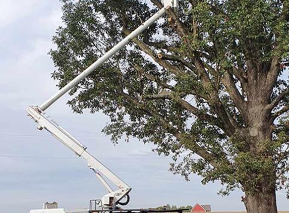 Wolford Tree Service - Tipton, IN