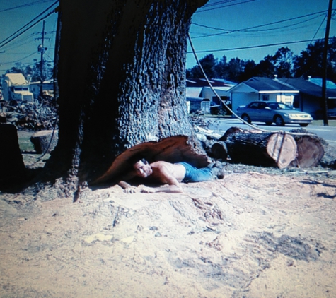 ABC Tree Service - Houma, LA