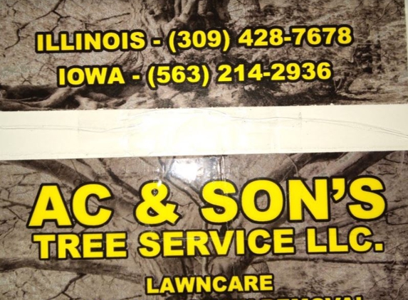 AC & Sons Tree Service, LLC - Davenport, IA