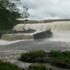 Okmulgee State Park gallery