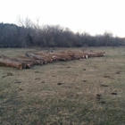Strothkamp logging