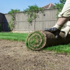 Southern Grown Turf