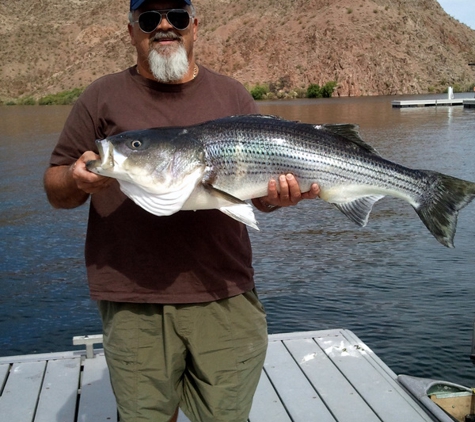 Las Vegas Fishing Tours - Las Vegas, NV. Las Vegas Fishing Tours - Lake Mead - Las Vegas Fishing