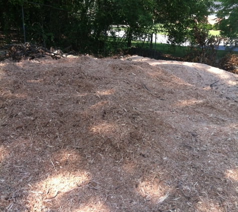 Manley's Stump Grinding - Opelika, AL