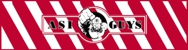 The Asi Guys - Asbestos Removal
