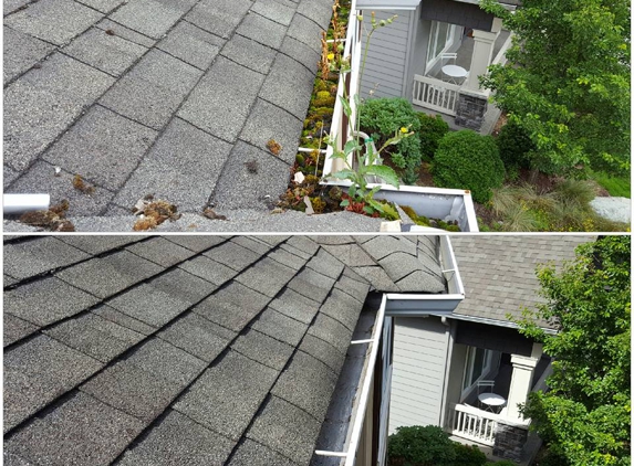 Moss Defender roof and gutter cleaning LLC - Sultan, WA