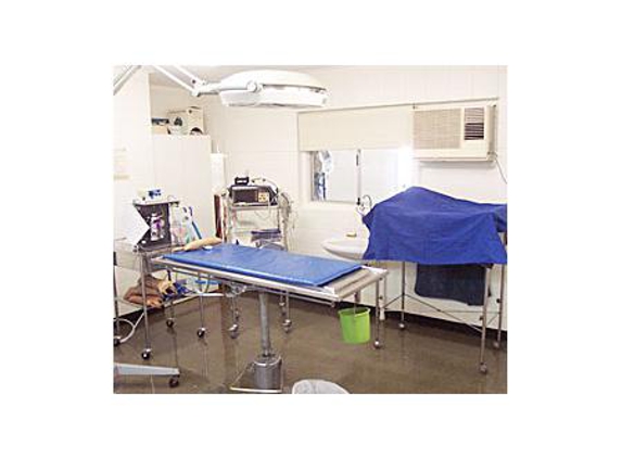 Townsville Veterinary Clinic - Aitkenvale, QLD