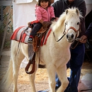 El Paso Party Ponies - Pony Rides