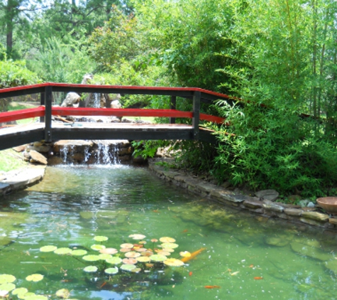 Lowes Water Garden - Spring, TX