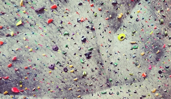 Movement Climbing & Fitness - Boulder, CO