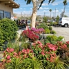 Desert Hot Springs Floirist & Garden Center Nurse gallery