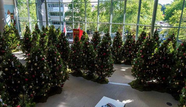 Santa's Shaped Christmas Trees Pty Ltd - Gundaroo, NSW