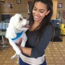 Yuppy Puppy Grooming - Pet Grooming