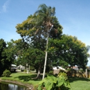 Colton's Tree Service - Landscape Designers & Consultants