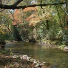 Noontootla Creek Farms