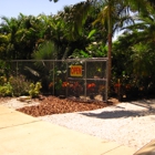 Paradise Palms Landscaping