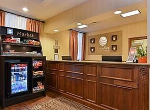 Comfort Inn & Suites Virginia Beach-Norfolk Airport - Virginia Beach, VA