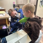 Kids Dental Group