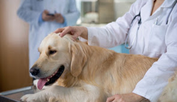 Walker Veterinary Hospital - Stockton, CA. Emergency Animal Care Stockton, CA 95210