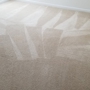 Bronco Pro Kleen Carpet Cleaning Denver