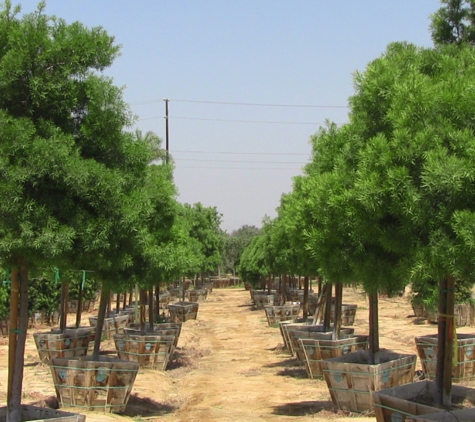 Moon Valley Nurseries - Peoria, AZ