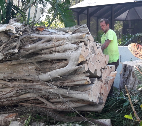 Gulf Coast Trees - Tampa, FL. Removing large hazardous tree