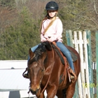 Mountain Dell Equestrian