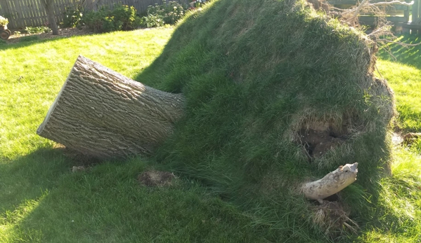 Powerhouse Stumpin - Appleton, WI. Uprooted stumps? No problem.