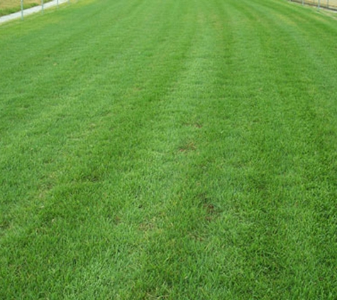 Paul Munns Instant Lawn - Hove, SA