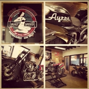 Gallery Image Number 4