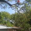 A&K Tree Service and More gallery