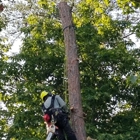 Treemax Expert Tree Services LLC