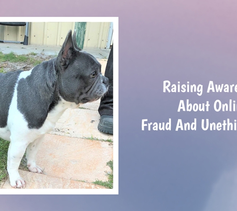 Tralinka French Bulldogs - Muchea, WA. Raising Awareness About Online Fraud And Unethical Sales