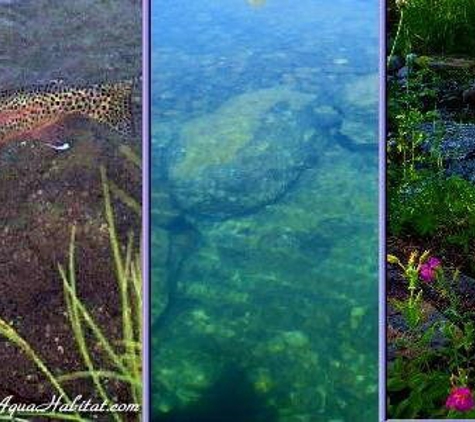 Ponds by Biologists - West Linn, OR