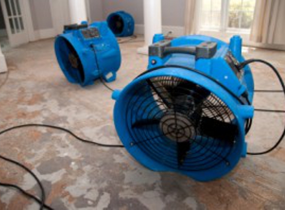 Steam Vac Carpet Cleaner - Pensacola, FL