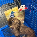 Petsense by Tractor Supply - Pet Stores