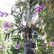 Gallery Image Number 6