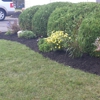 Caledonia Landscaping and Lawn Care gallery