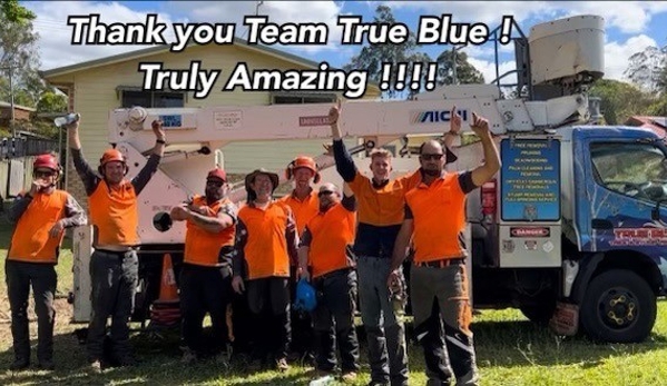 True Blue Tree and Stump Removal - Glass House Mountains, QLD