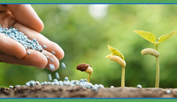 Abacus Tree Services - Hornsby, NSW. Tree Identification Plans & Tree Surveys